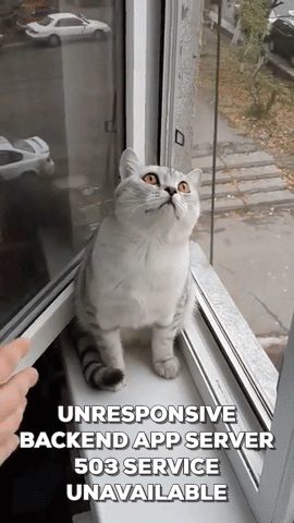 dungmvd  GIF