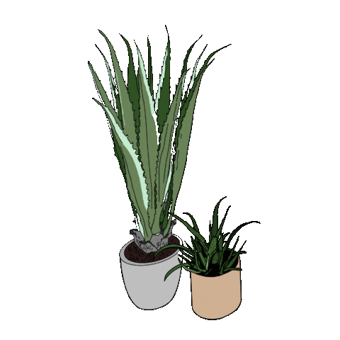 White This Way Sticker