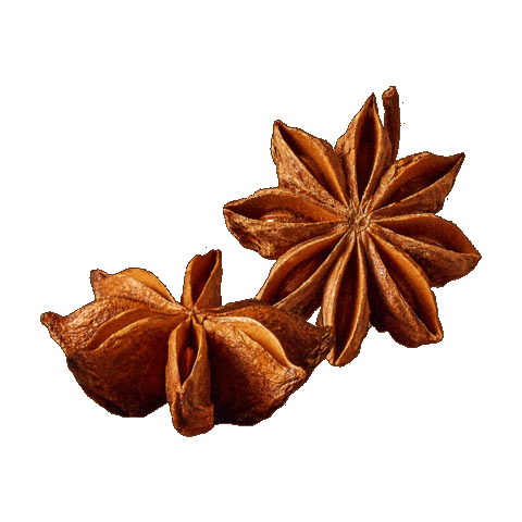 Orlenzima Sticker by orlenunipetrol