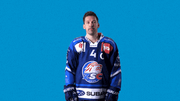 Geering GIF by ZSC Lions