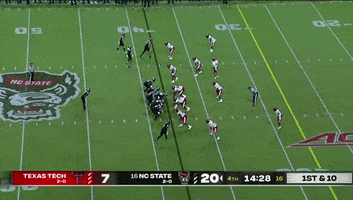 Touchdown GIF