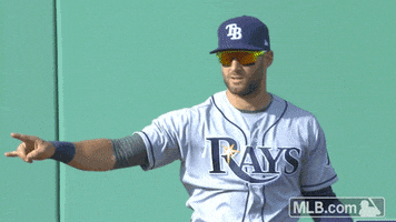 Tampa Bay Rays Kevin GIF by MLB