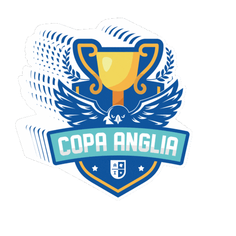 Anglia Institute Sticker