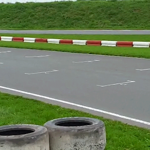 ProKart_Nederland racing pro kart karting GIF