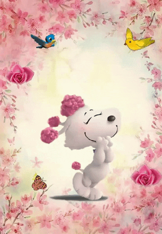 Fi Fi Spring Time GIF