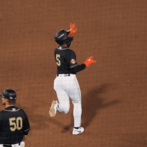 Home Run Baseball GIF by Sacramento River Cats