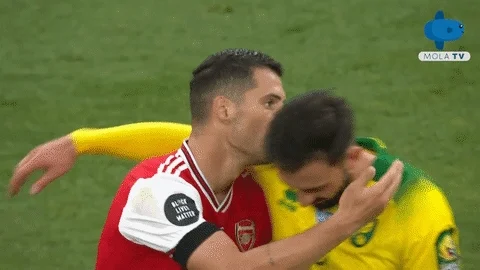 giphy.webp?cid=6c09b9522ifb0am3b5s97cch9o3ozobkd55cfo55l7llfh8h&ep=v1_internal_gif_by_id&rid=giphy.webp&ct=g