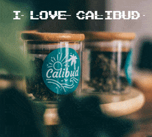 Cbdmarseille GIF by Calibud CBD