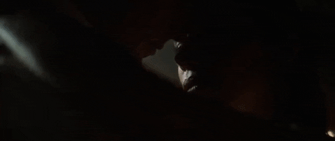 Judah-holday GIFs - Get the best GIF on GIPHY