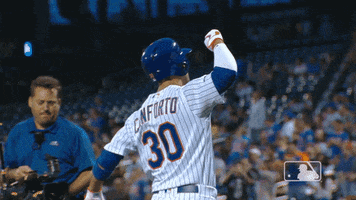 celebrate ny mets GIF by New York Mets