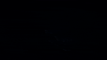 NetgearInd GIF