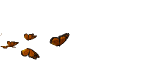 Mariposaslabastilla Sticker by ChocolatesJet