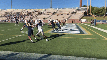 Touchdown Gomocs GIF by Chattanooga Mocs