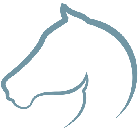 Paardendroom Sticker