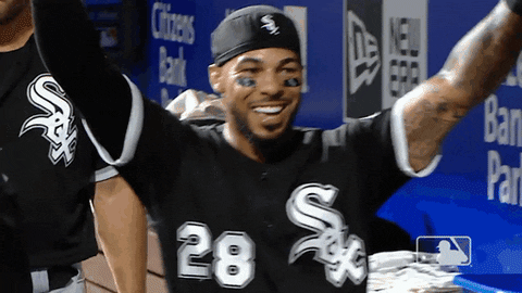 Major League Baseball Game GIF by MLB