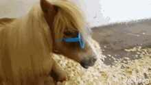 Jumping Mechelen GIF