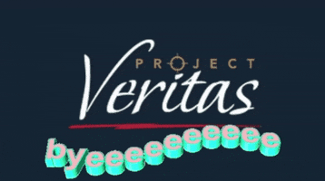 James Okeefe GIF