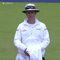 London Yes GIF by Lord's Cricket Ground's Cricket Ground