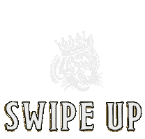 Swipe Up Conor Mcgregor Sticker by properwhiskey