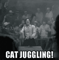steve martin cat juggling GIF
