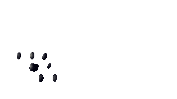 Sticker by Salon Ugura