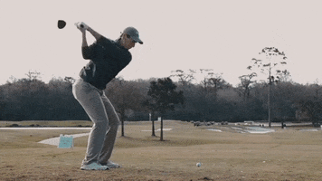Hole In One Golf GIF by Rice Owls