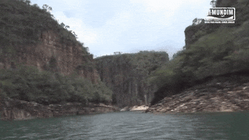 michellemontemor  GIF