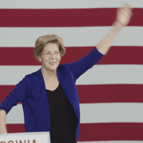 2020 Election Love GIF by Elizabeth Warren