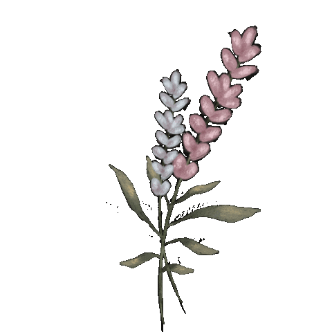 Flower Sticker