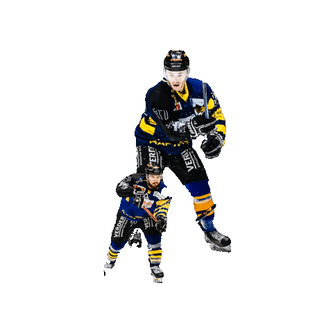 BergischRaptors Sticker