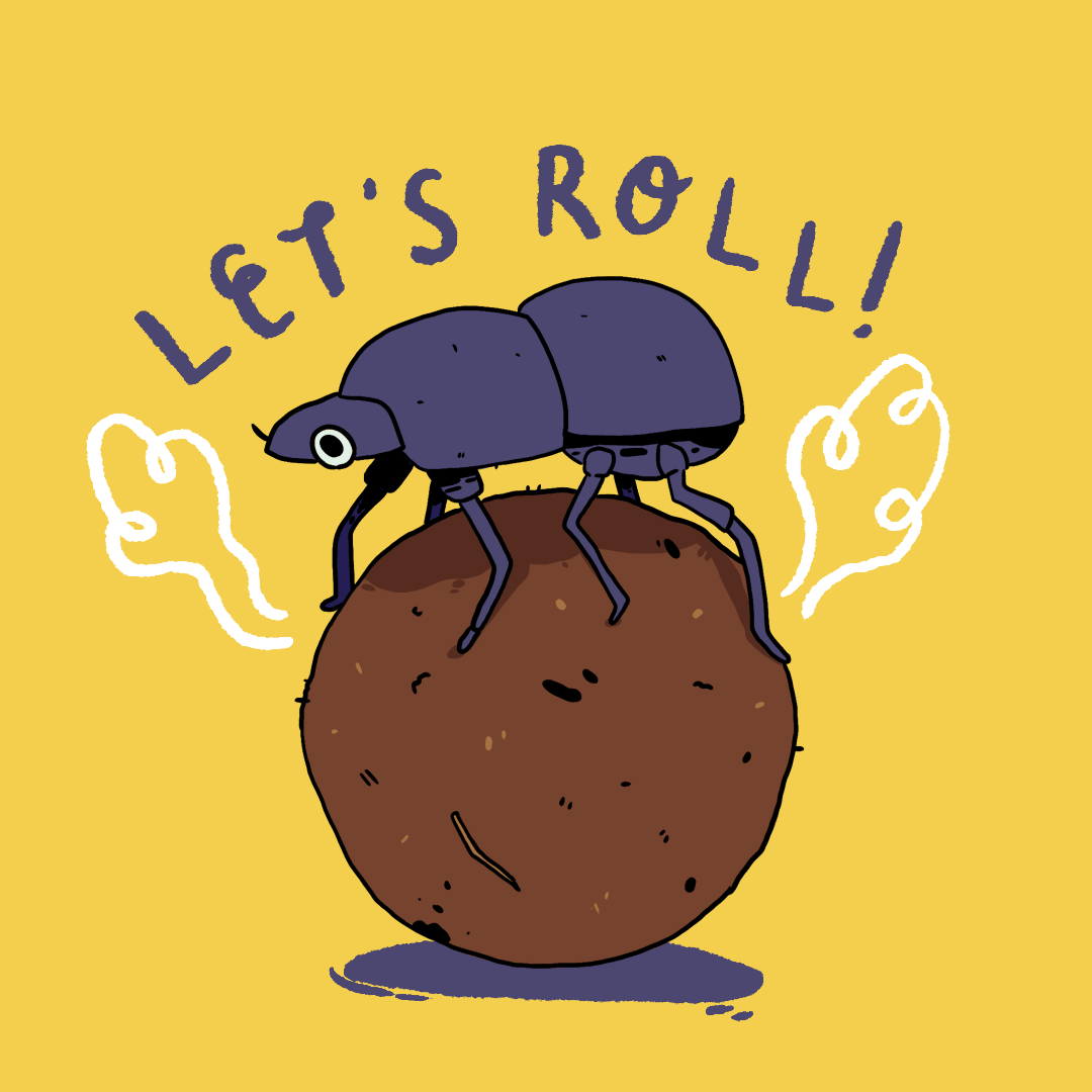 Dung Beetle Insect GIF by putri Find & Share on GIPHY
