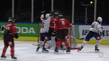Zurich Suisse GIF by Champions Hockey League