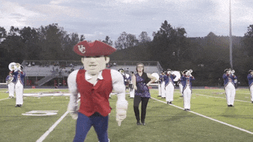 Kentucky Uc GIF by University of the Cumberlands