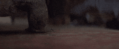 Foot GIF