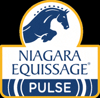 Niagaraequissage equissage equissagepulse niagaraequissagepulse horsetherapy GIF