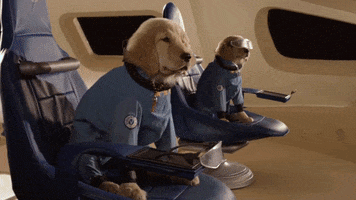 Dogs Nasa GIF by Air Bud Entertainment