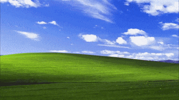 Meme GIF