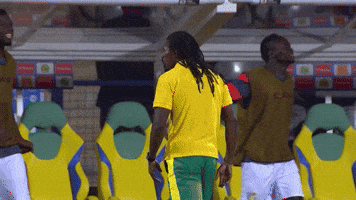 Aliou Cisse Yes GIF by CAF