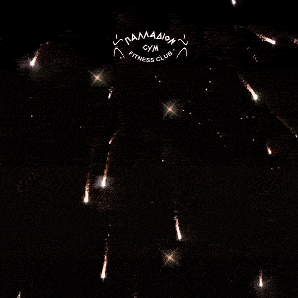 Happy New Year Fireworks GIF by Palladion Gym