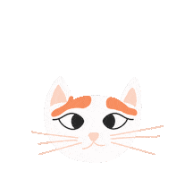 Cats Kittens Sticker