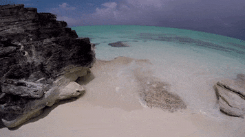 Travel GIF