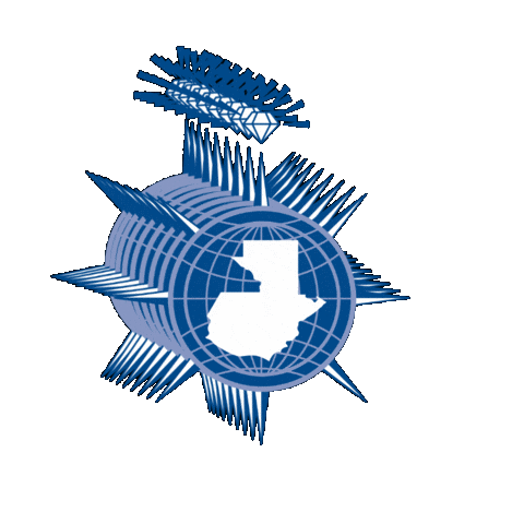 medios IGPA Sticker