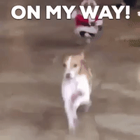 On My Way Gifs Get The Best Gif On Giphy On My Way Gifs Get The Best Gif On Giphy