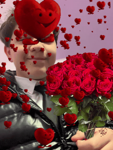 Le Havre Rose GIF