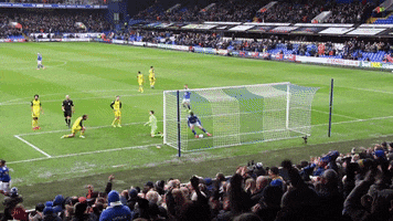 Ipswich Town Throw GIF by Ipswich Town Football Club