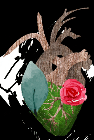 Corazon GIF
