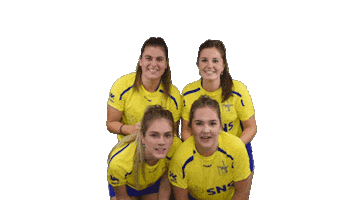 CKCKinderdijk Sticker