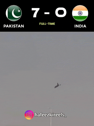 Indian Air Force Samosa GIF