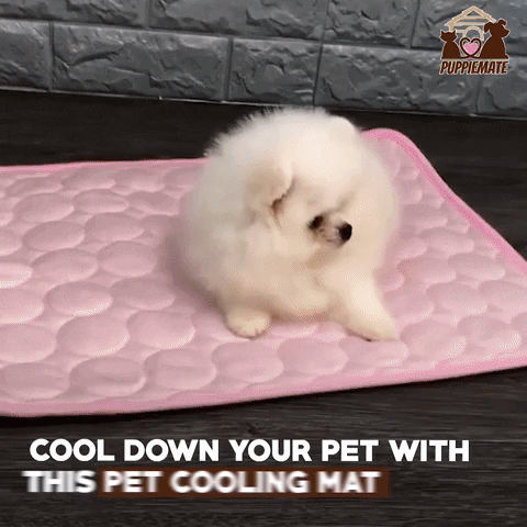 Coolingmat GIF