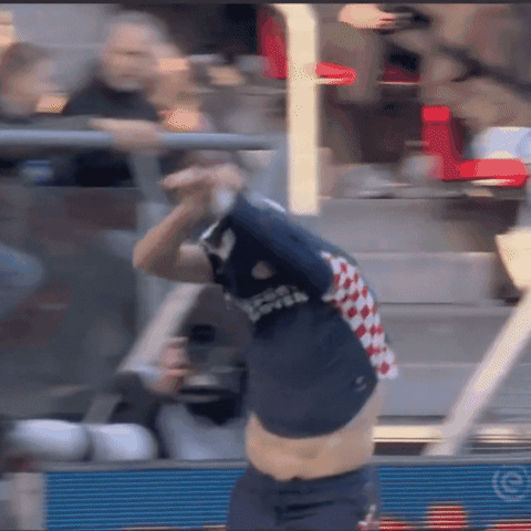 Psv GIF